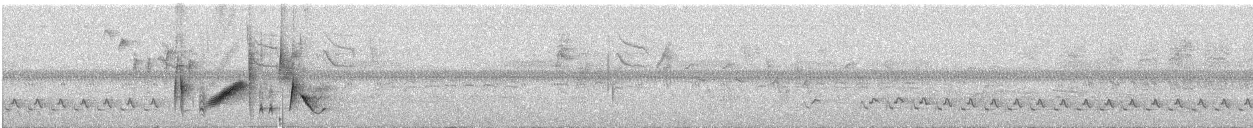 White-eyed Vireo - ML638443287