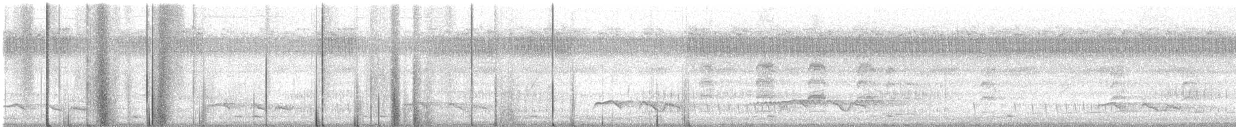Indian Nightjar - ML638443950