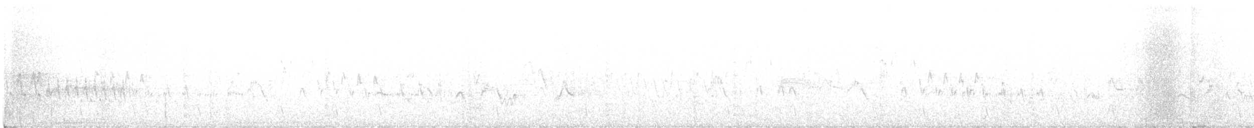 Northern House Wren (Northern) - ML638445143