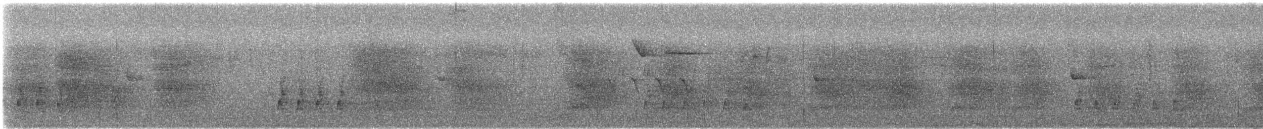 Steller's Jay - ML638445605