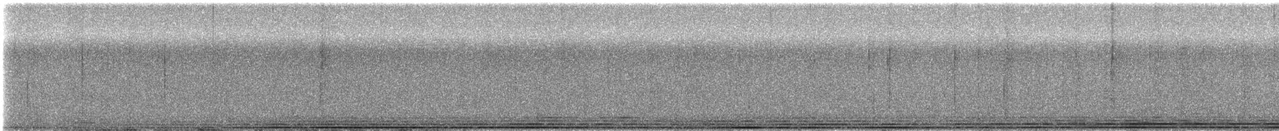 Brown Creeper - ML638445659