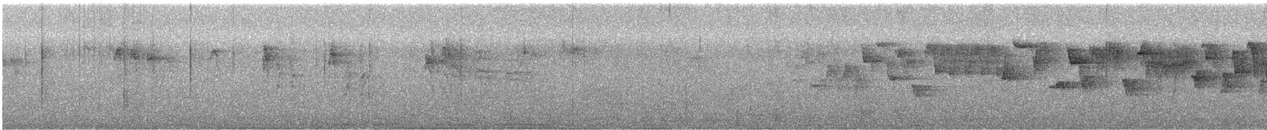 Pacific Wren - ML638445826