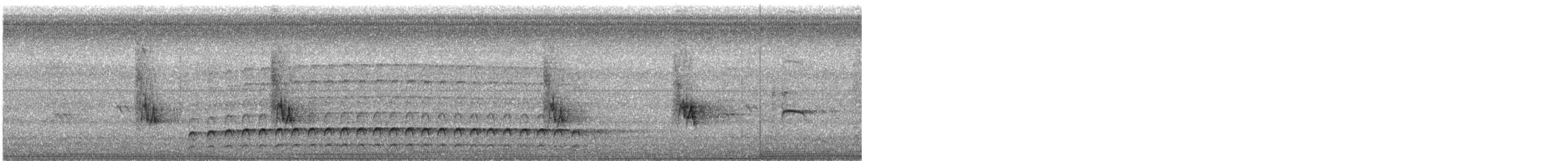 Pileated Woodpecker - ML638446945