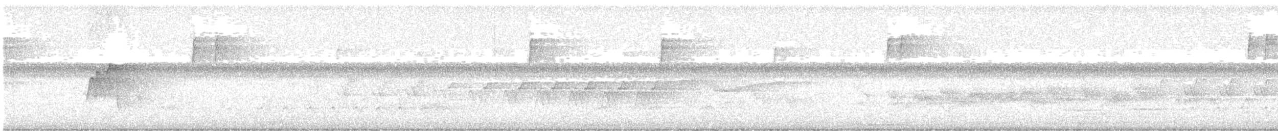 kentuckyparula - ML638448020