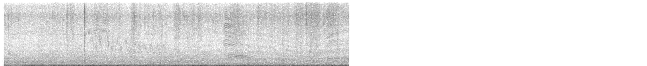Northern House Wren - ML638448472