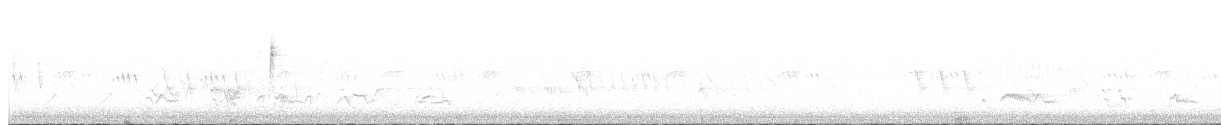 Warbling Vireo - ML638449303