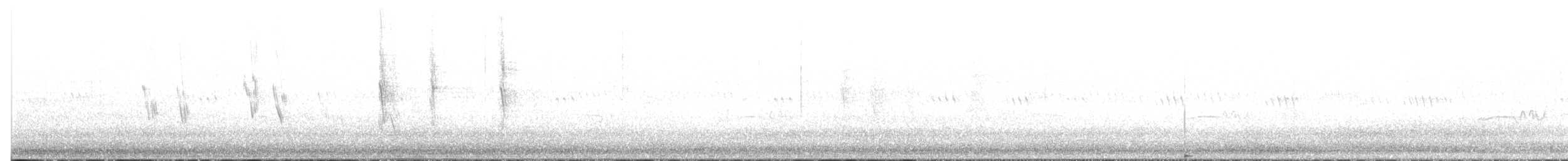 Western Wood-Pewee - ML638449700