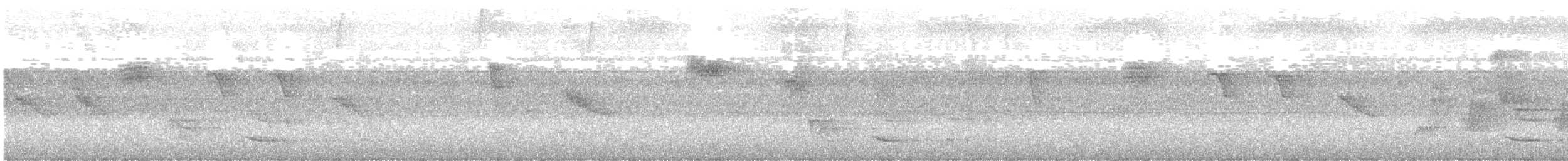 kolibřík skvrnitoprsý - ML638451035