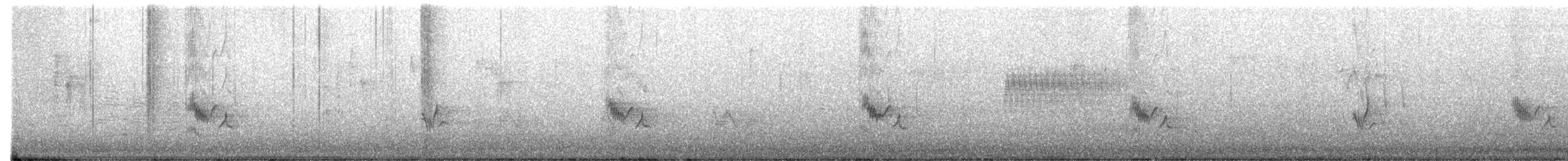 Purple Finch (Western) - ML638452419