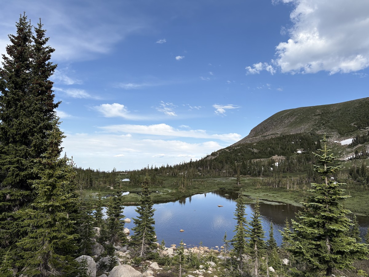 null - ML638454401