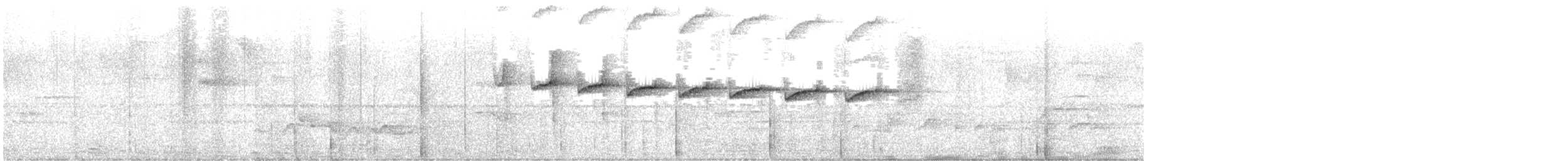 Sclérure obscur (obscurior) - ML638455051