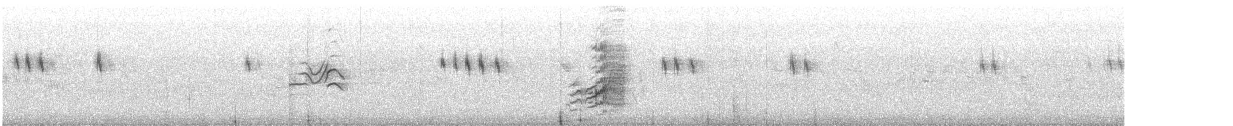 灰鶺鴒 - ML638456927