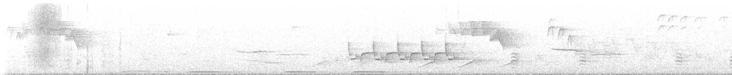 Weißbrustkleiber - ML638457961