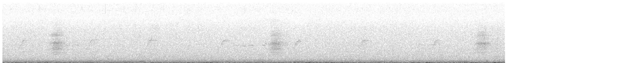 Band-tailed Pigeon - ML638458494