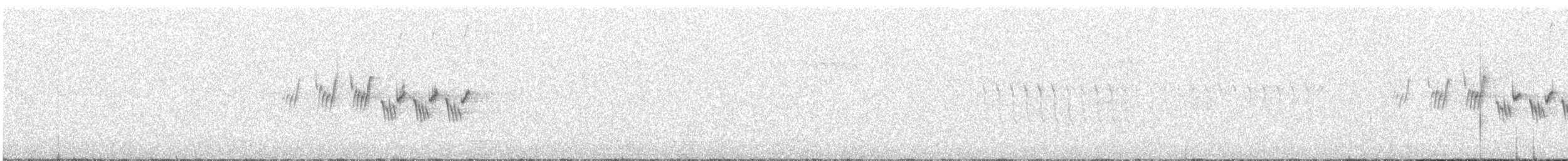 MacGillivray's Warbler - ML638458924