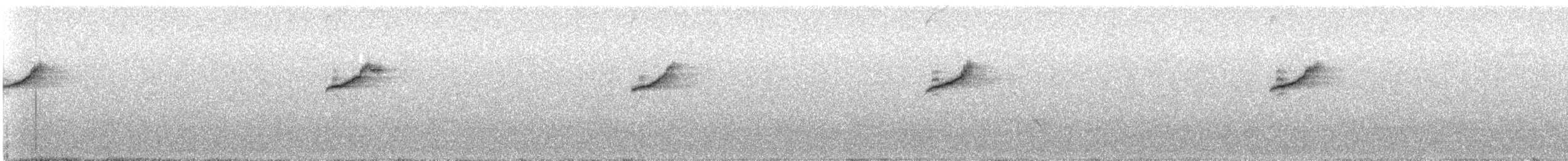 灰鶺鴒 - ML638459147