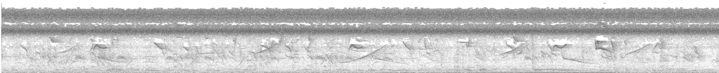 Northern Tropical Pewee - ML638459271