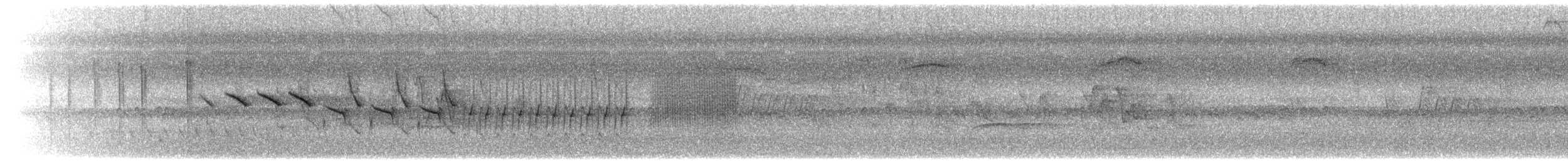 Morelet's Seedeater - ML638462081