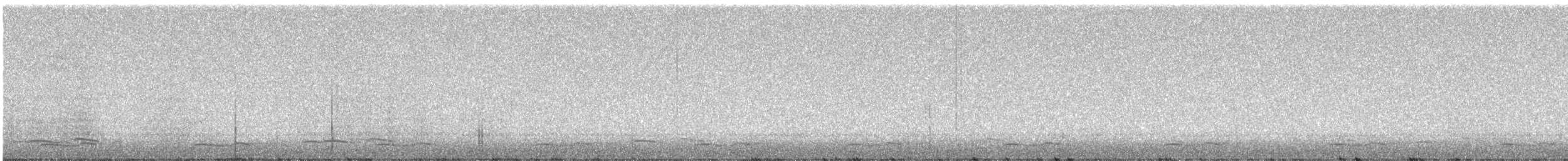 Common Poorwill - ML638462456