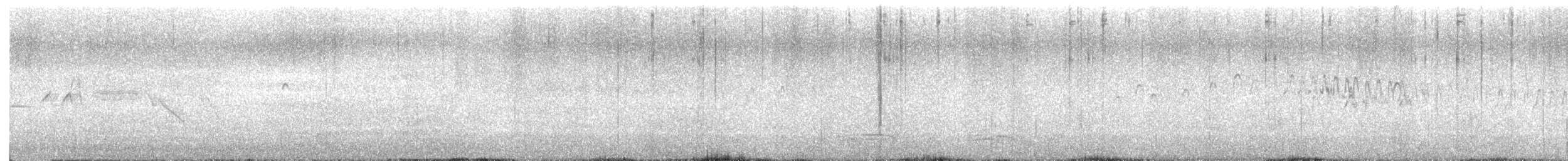 Pigeon Guillemot - ML638462494