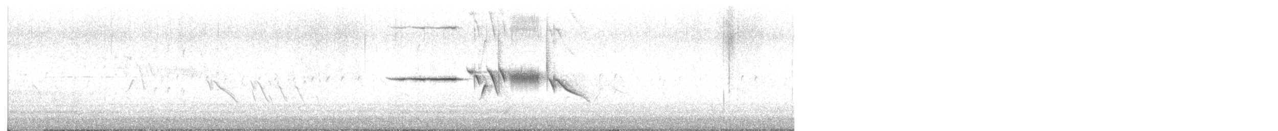 White-crowned Sparrow - ML638462508