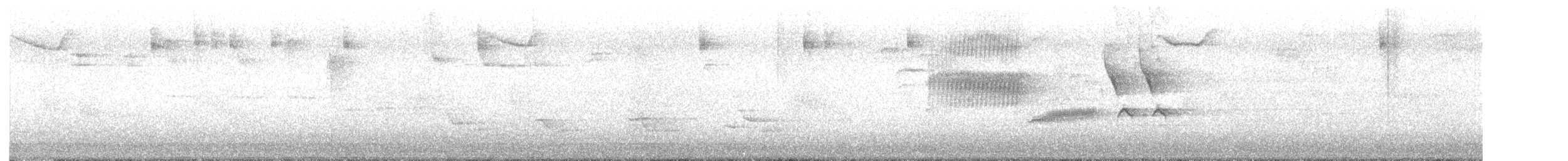 Bewick's Wren - ML638462724
