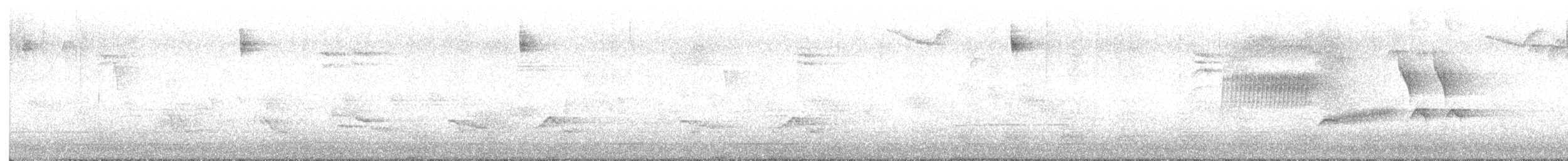 Bewick's Wren - ML638462728