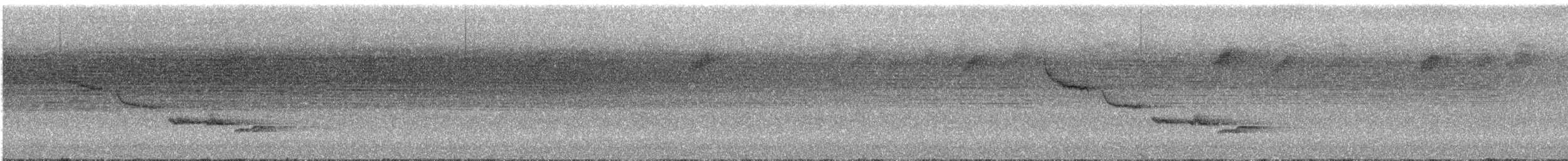 White-breasted Wood-Wren - ML638468201