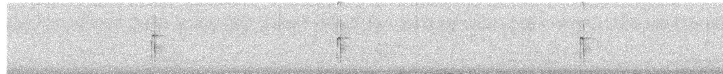 strakapoud americký - ML638470233