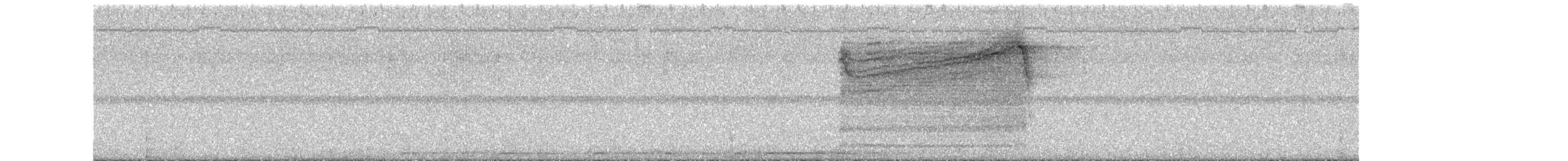 Barred Owl - ML638472224