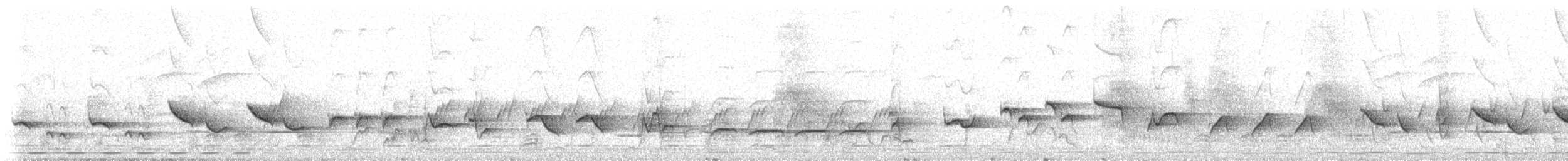 ヒガシハジロヤブコマドリ（quadrivirgata） - ML638476791