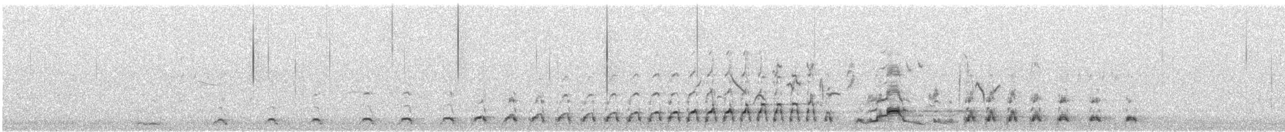 Himalayan Snowcock - ML638476828