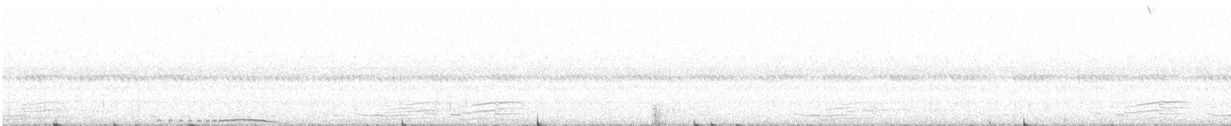 Bronze-winged Courser - ML638476908