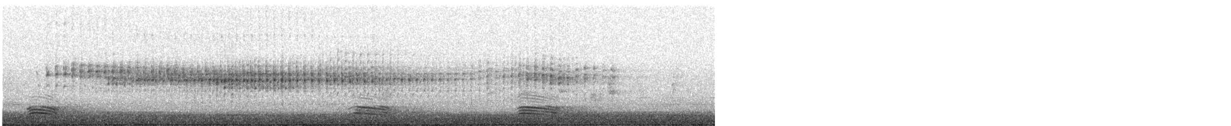 Australasian Grebe - ML638477815