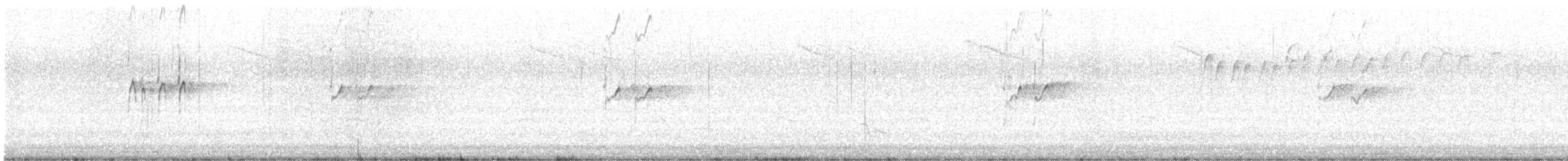 Solitary Sandpiper - ML638480303