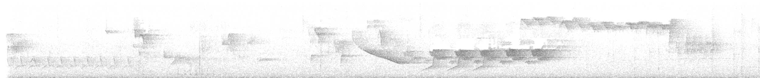 kentuckyparula - ML638480585