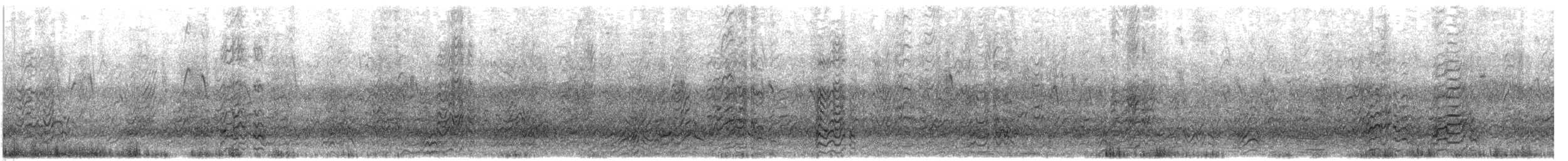 Sterna scura - ML638481788