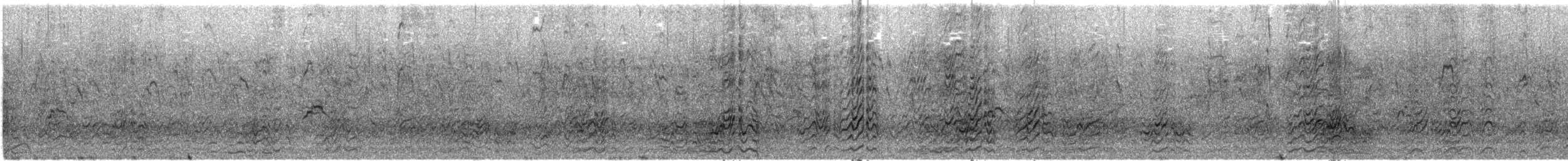 Sterna scura - ML638481791