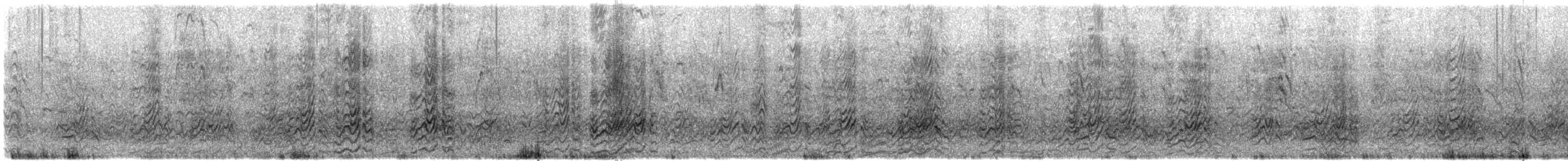 Sterna scura - ML638481792