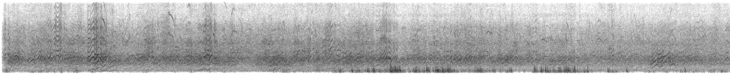 Sterna scura - ML638481793