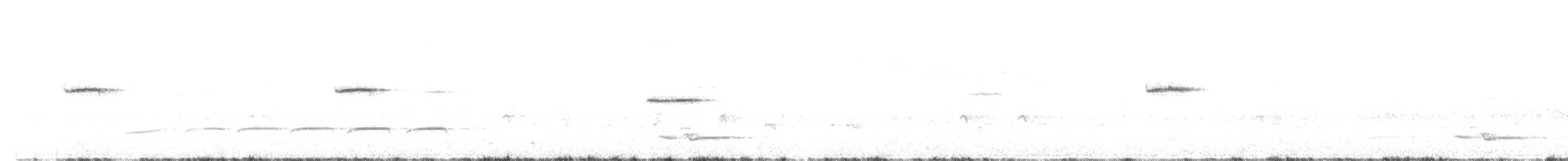 タカサゴミソサザイ - ML638482125