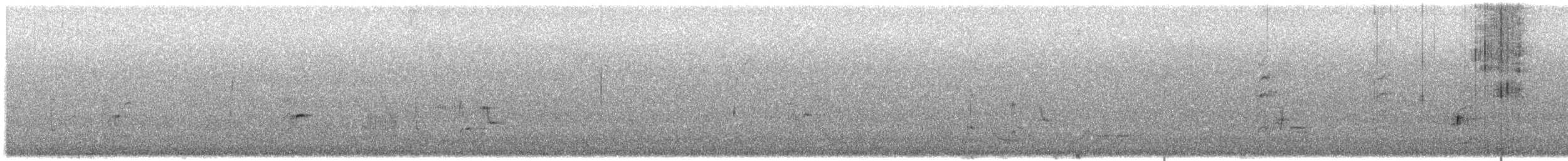 Phainopepla - ML638482568