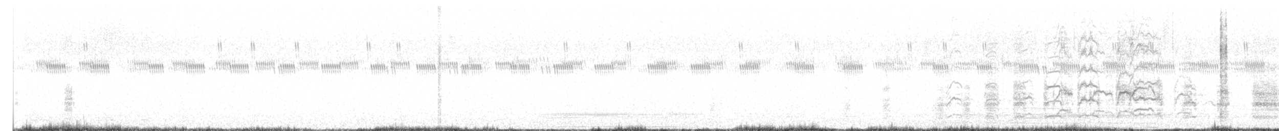 Letter-winged Kite - ML638482772