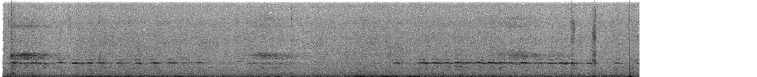 Weißbrustkleiber (carolinensis) - ML638483642