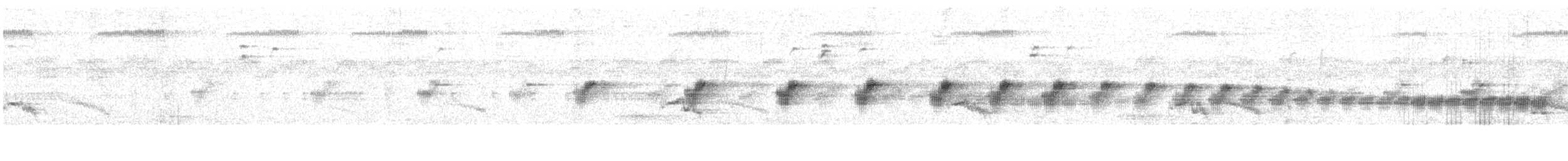 Highland Rush Warbler - ML638485387