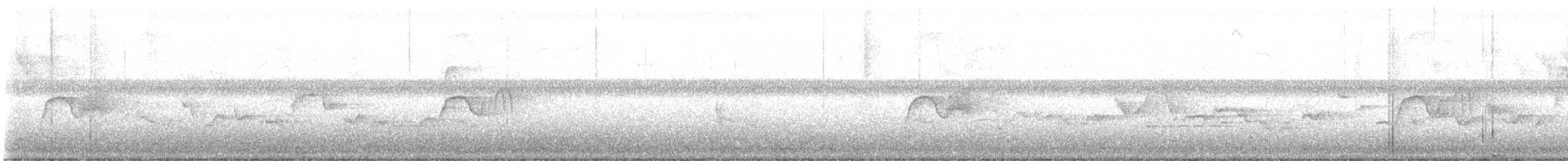 tyranovec domácí - ML638485472