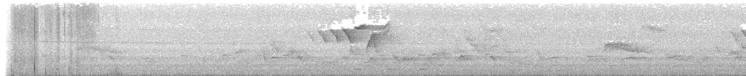 סבכון חכלילי - ML638486253