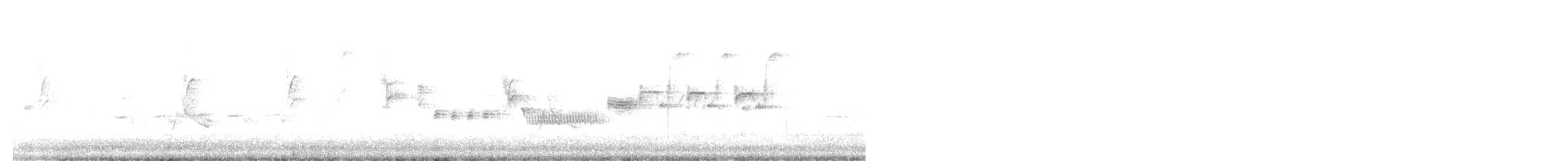 Bewick's Wren - ML638487171