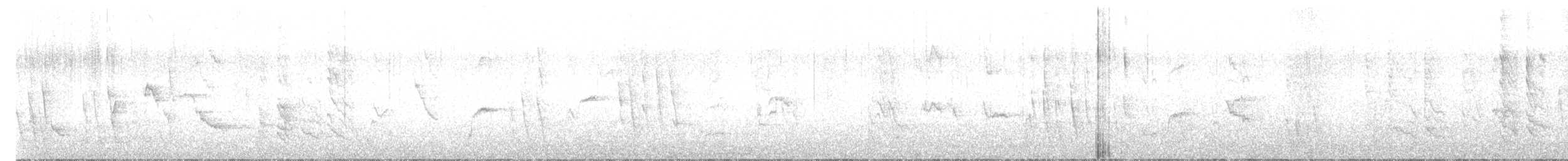 Austral Blackbird - ML638487294