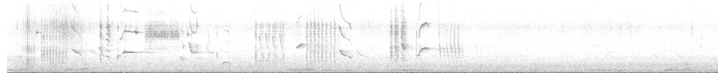 Austral Blackbird - ML638487302
